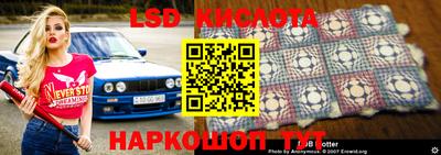 хмурый Сланцы
