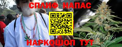 хмурый Сланцы
